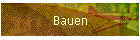 Bauen